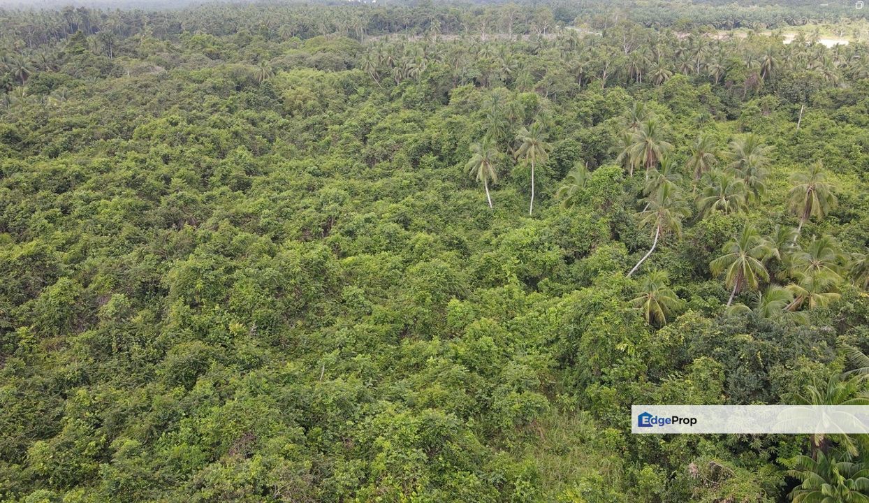 2 Lots of Land For Sale! Located at Asajaya, Sarawak, Kota Samarahan