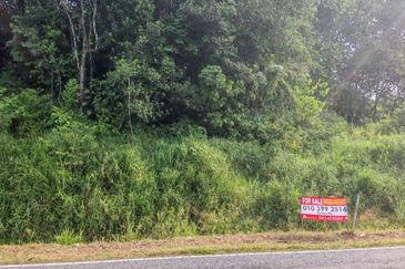 Main Roadside Land For Sale! Located at Jambusan
