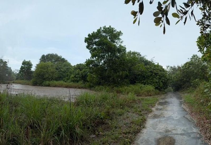 Roadside Agriculture Land Sungai Rait Miri Location: Sungai Rait, Miri