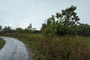 Agriculture Land Sungai Rait Miri Location: Sungai Rait, Miri