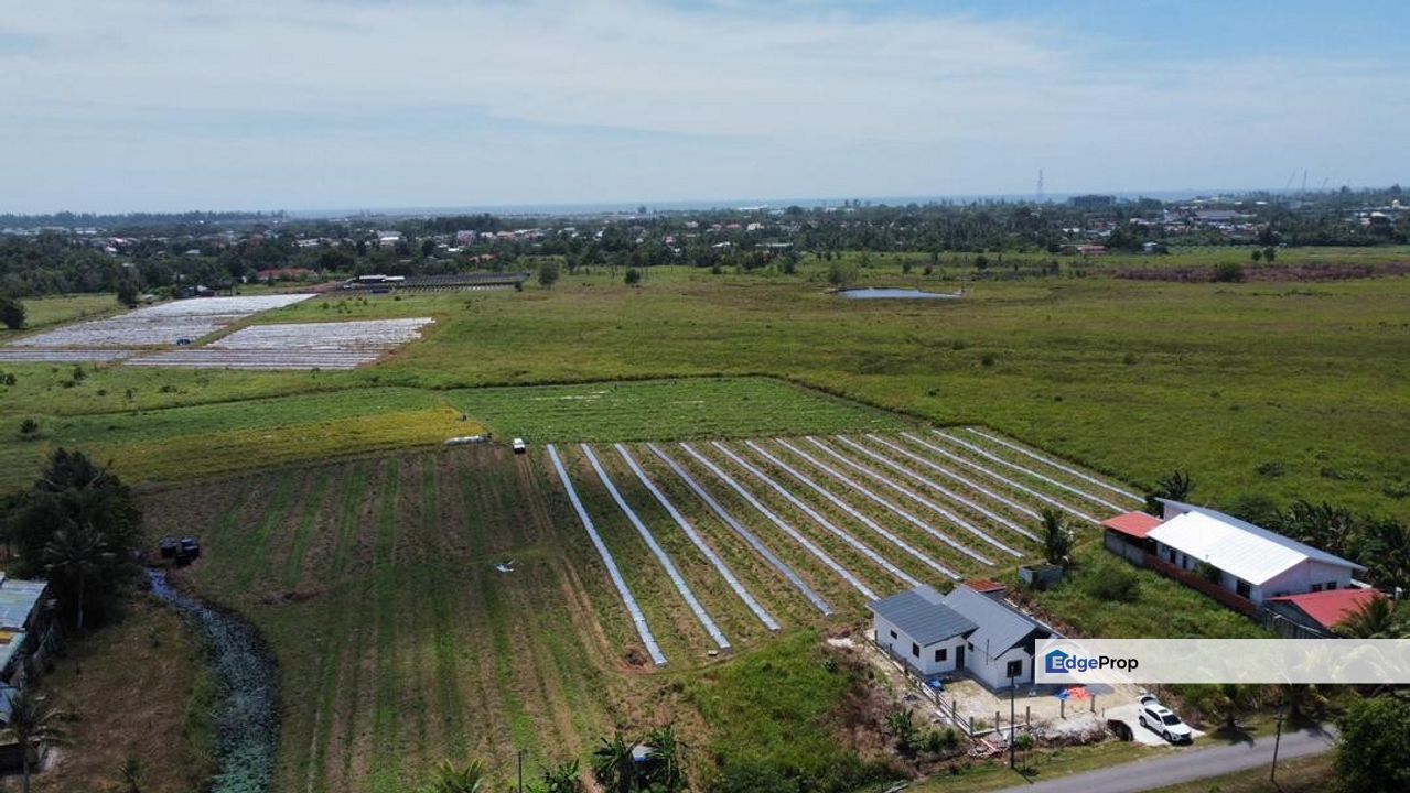 Freehold Agriculture Land For Sale! @ Tudan, Miri, Sarawak, Miri
