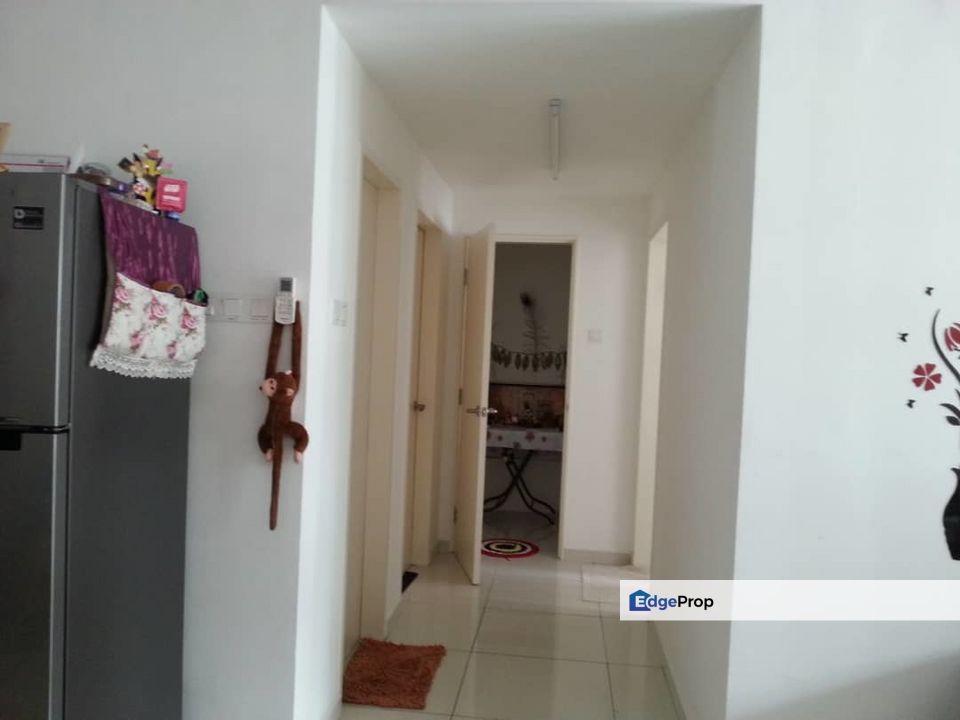 Zeva @ Equine South, Selangor, Seri Kembangan