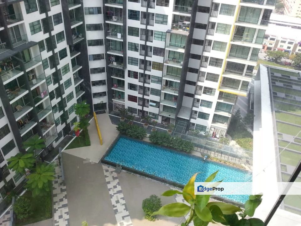 Zeva @ Equine South, Selangor, Seri Kembangan