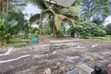 Eminence @ Equine Park