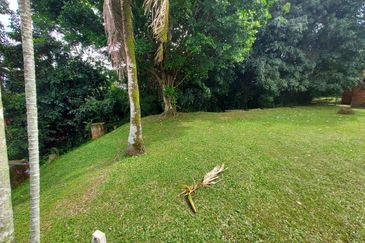 Seksyen 16, Petaling Jaya