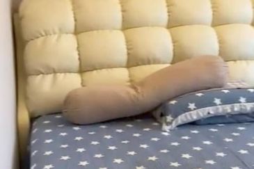 Dorsett Residence, Sri Hartamas