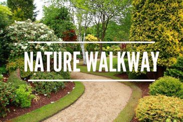  Green Environment KLCC View Super Low Density