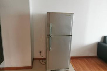 Parkview Service Apartment