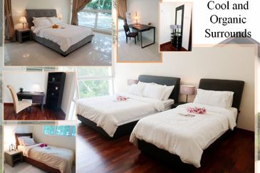 IOI Beverly Row @ IOI Resort City