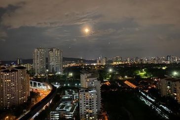 Dianthus @ Tropicana Gardens