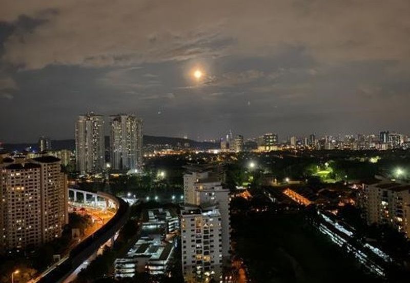 Dianthus @ Tropicana Gardens