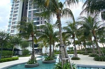 Dianthus @ Tropicana Gardens