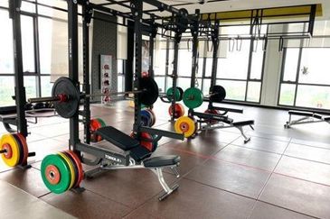 Dianthus @ Tropicana Gardens