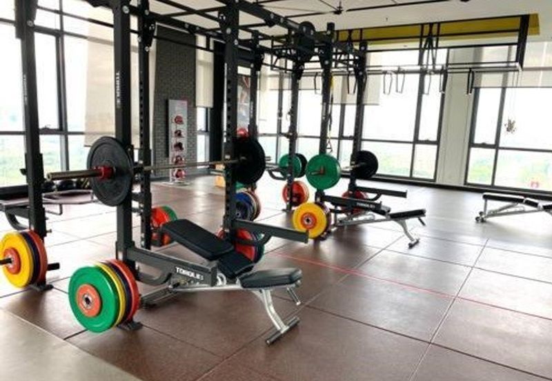 Dianthus @ Tropicana Gardens