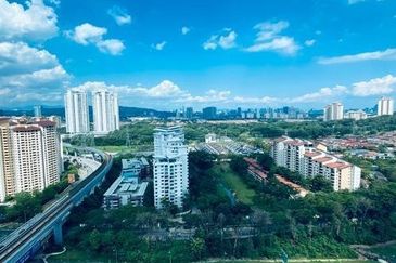 Dianthus @ Tropicana Gardens
