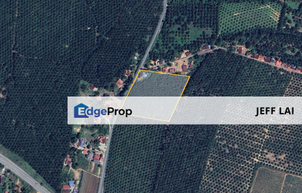 Kedah Gurun Jalan Jeniang Batu 3 Agri Land 5.2 Acre Sale 8psf, Kedah, Kuala Muda