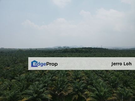 190 Acres of Freehold Agricultural Lands For Sale , Penang, Nibong Tebal