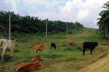 Seksyen 4, Pekan Bestari Jaya