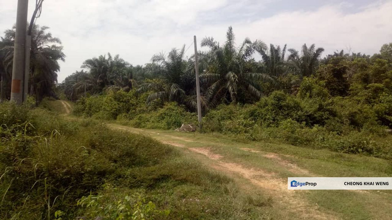 Bestari Jaya Seksyen 4,Agricultural, Jalan Timur Tambahan , Selangor, Kuala Selangor