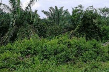 Seksyen 4, Pekan Bestari Jaya