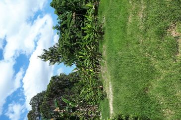 Taman Hulu Langat Jaya