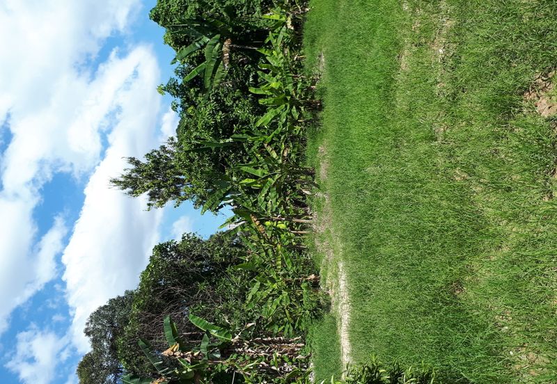 Taman Hulu Langat Jaya