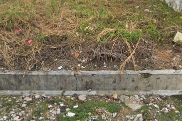 Taman Taynton (Taynton View)