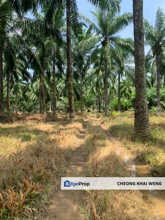 Pekan Simpang 3,Ijok, , Selangor, Kuala Selangor