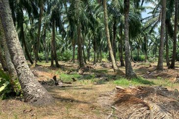 Pekan Simpang 3,Ijok, 