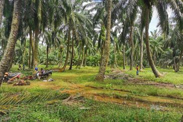 Pekan Simpang 3,Ijok, 