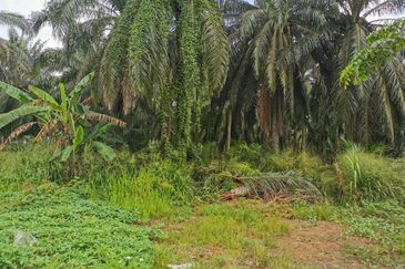 Pekan Simpang 3,Ijok, 