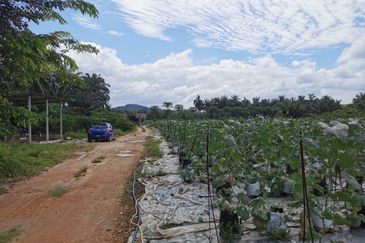 Pekan Simpang 3,Ijok, 