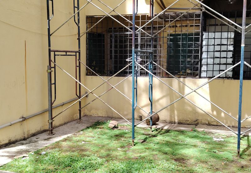 Subang Perdana Goodyear Court 5