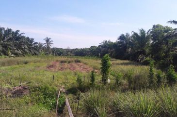 Jalan Kamarul, Taman IKS PKNS, Kuala Selangor