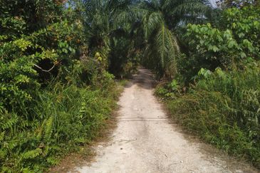 Jalan Anggerik, Telok Panglima Garang