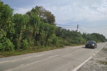 Jalan Anggerik, Telok Panglima Garang