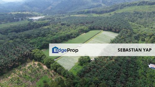 Agricultural land for sale in Kalumpang, Selangor, Kerling