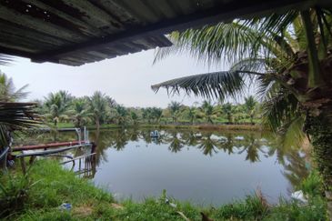 5.587 acres agri land for sale in Rasa Utama.