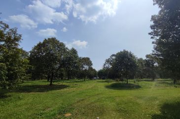 5.587 acres agri land for sale in Rasa Utama.