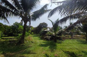 5.587 acres agri land for sale in Rasa Utama.