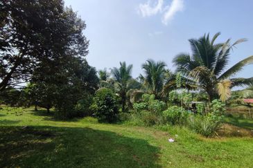 5.587 acres agri land for sale in Rasa Utama.