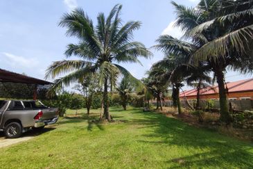 5.587 acres agri land for sale in Rasa Utama.