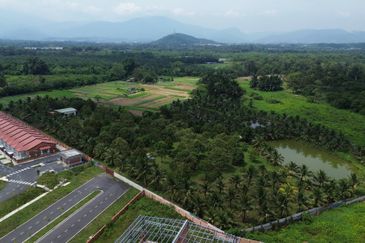 5.587 acres agri land for sale in Rasa Utama.