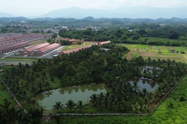 5.587 acres agri land for sale in Rasa Utama.