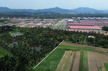 5.587 acres agri land for sale in Rasa Utama.