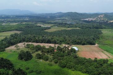 5.587 acres agri land for sale in Rasa Utama.
