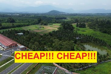 5.587 acres agri land for sale in Rasa Utama.