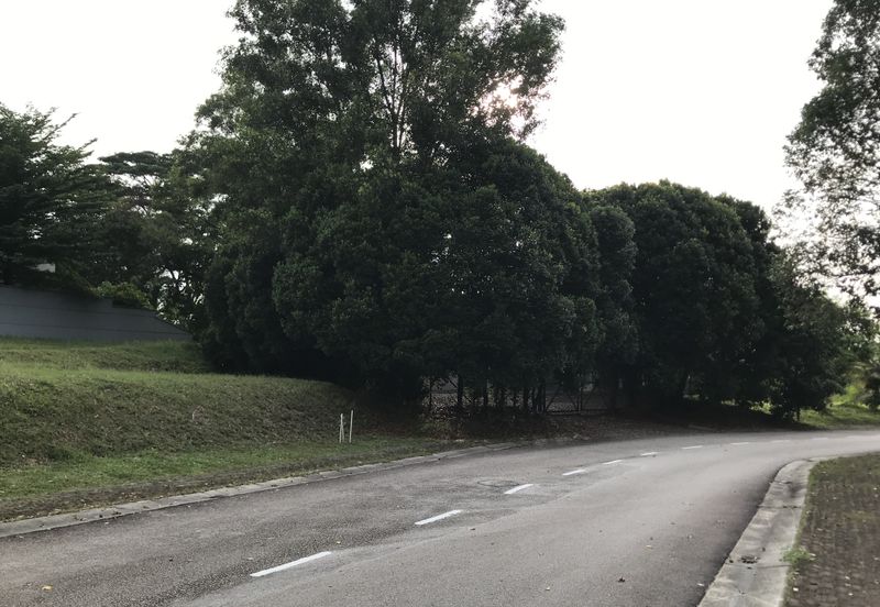 Subang Heights Bungalow Land For Sale