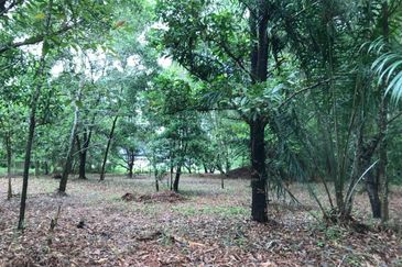 Putra Crest @ Putra Heights