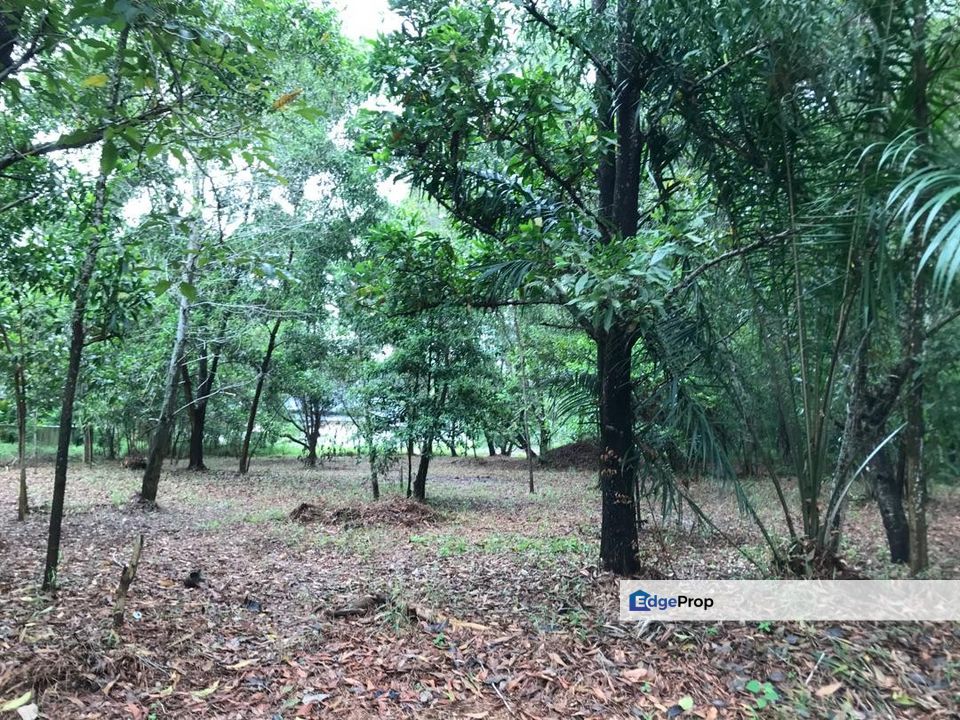 Putra Crest - Bungalow Land , Selangor, Subang Jaya